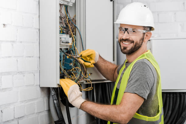 Best Electric Panel Repair  in Arcadia, FL